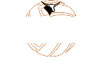 Kell Longhorn Summer Volleyball Camp
